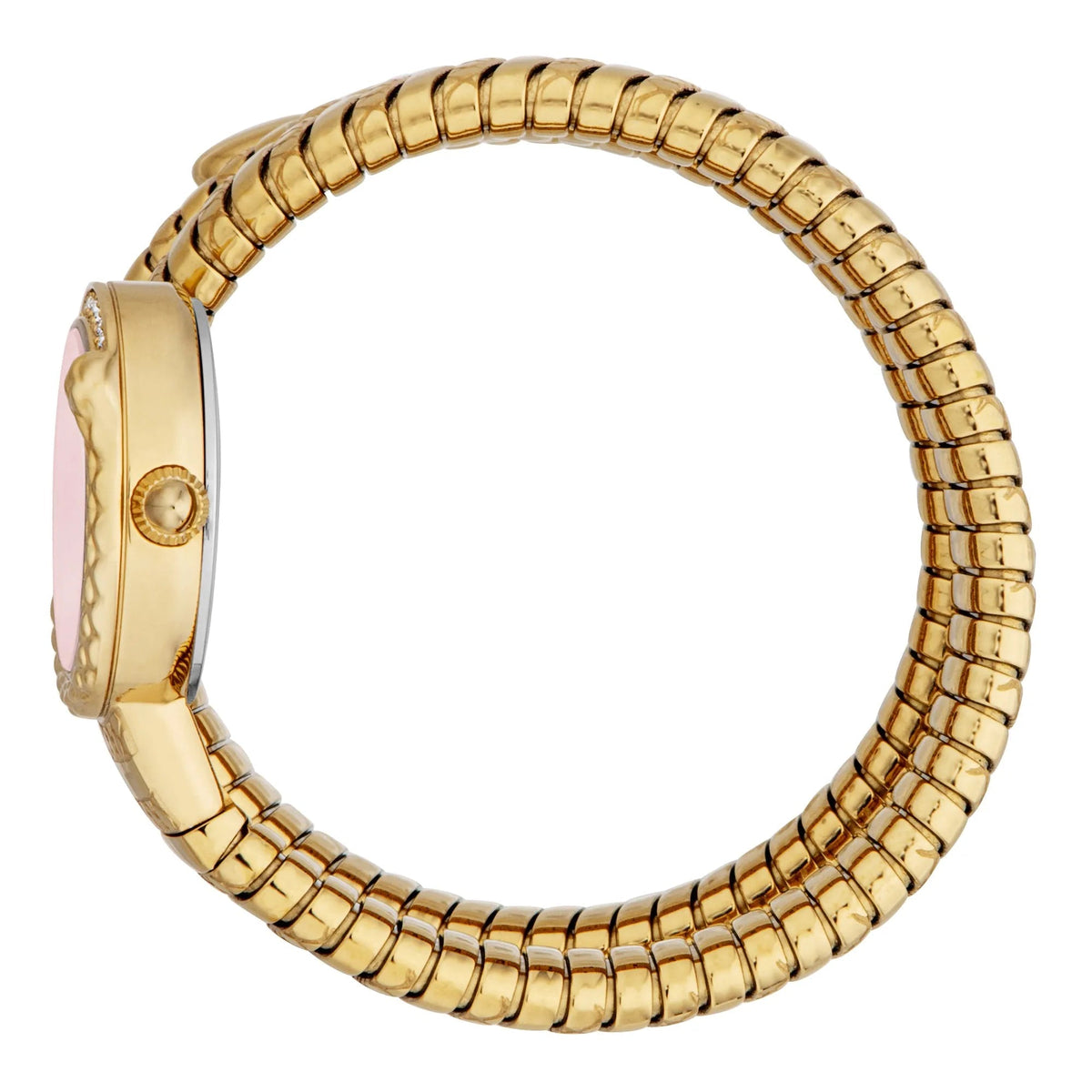 Just Cavalli Enchanting Yellow Gold Red -korean beauty