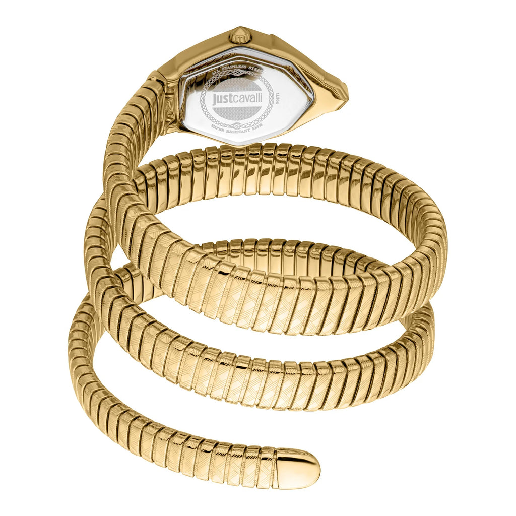 Just Cavalli Mesmerizing Yellow Gold Silver -korean beauty