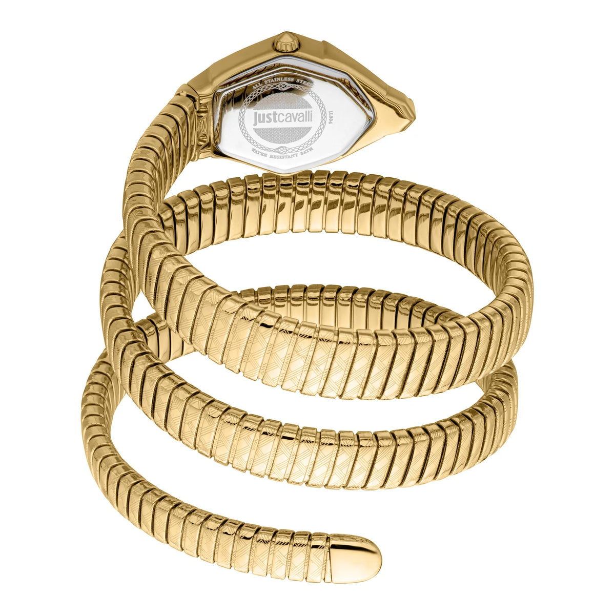Just Cavalli Mesmerizing Yellow Gold Silver -korean beauty