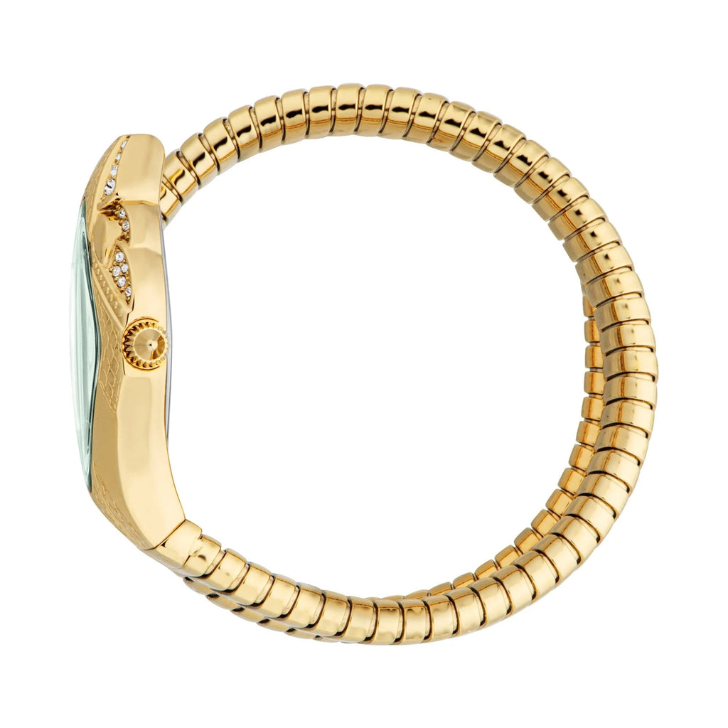Just Cavalli Ferocious Yellow Gold Green -korean beauty