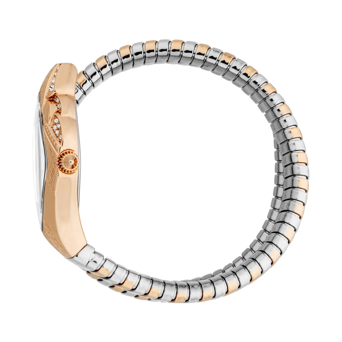 Just Cavalli Ferocious Two Tones RG Silver -korean beauty