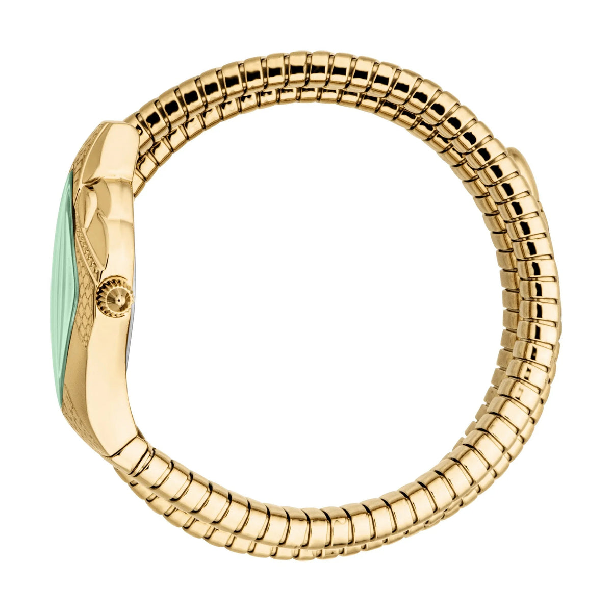 Just Cavalli Cristallo Yellow Gold Bottle Green -korean beauty