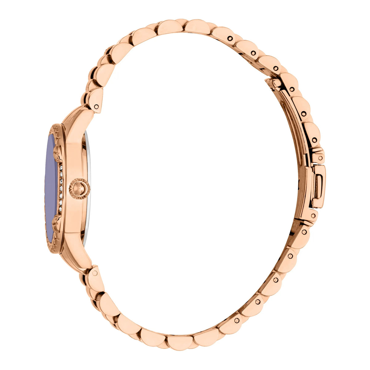 Just Cavalli Fiorenza Snake Rose Gold Violet -korean beauty