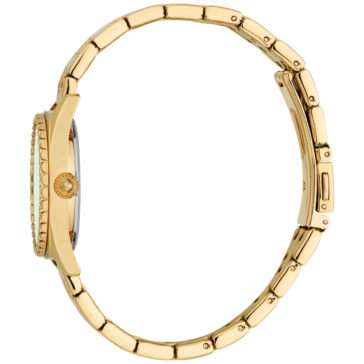 Just Cavalli Indomitable Animalier Yellow Gold Green -korean beauty