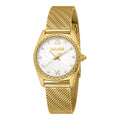 Just Cavalli Lustro Yellow Gold Silver -korean beauty