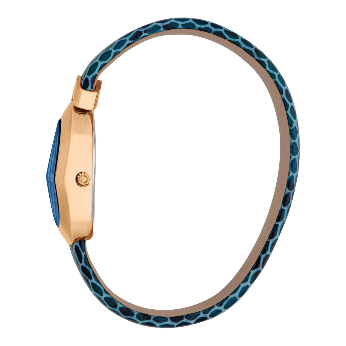 Just Cavalli Diversa Snake Blu -korean beauty