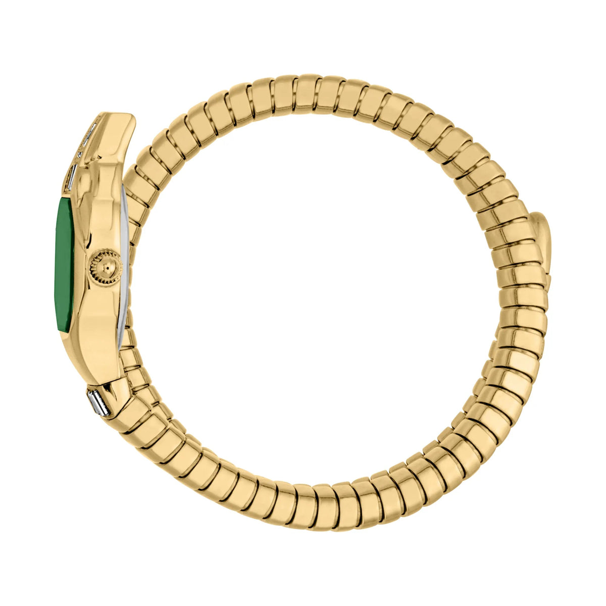 Just Cavalli Brillante Snake Yellow Gold Green -korean beauty