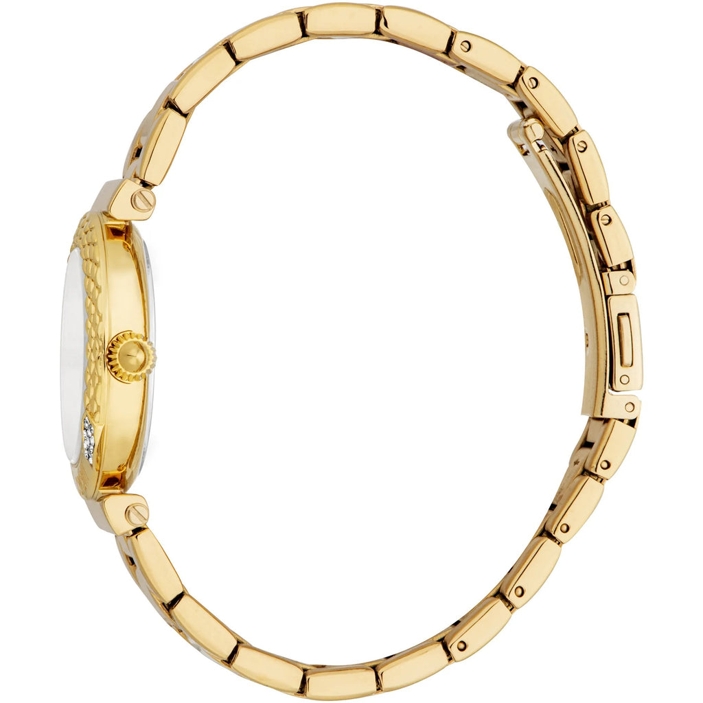 Just Cavalli Curiosa Yellow Gold Silver -korean beauty
