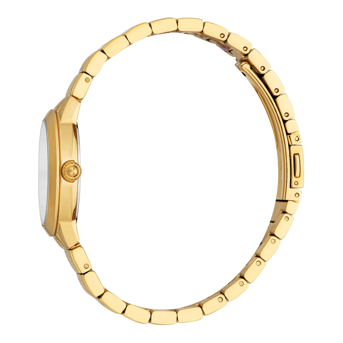 Just Cavalli Passione Yellow Gold Silver Grey -korean beauty