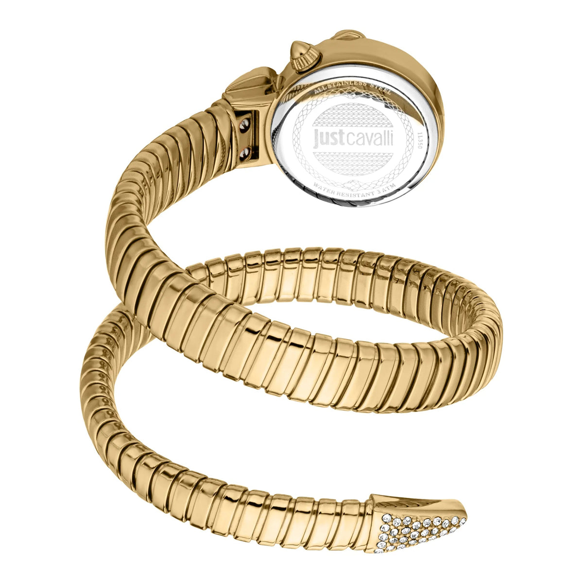 Just Cavalli Radiosa Yellow Gold Silver -korean beauty