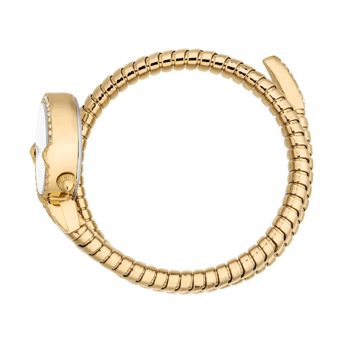 Just Cavalli Radiosa Yellow Gold Silver -korean beauty