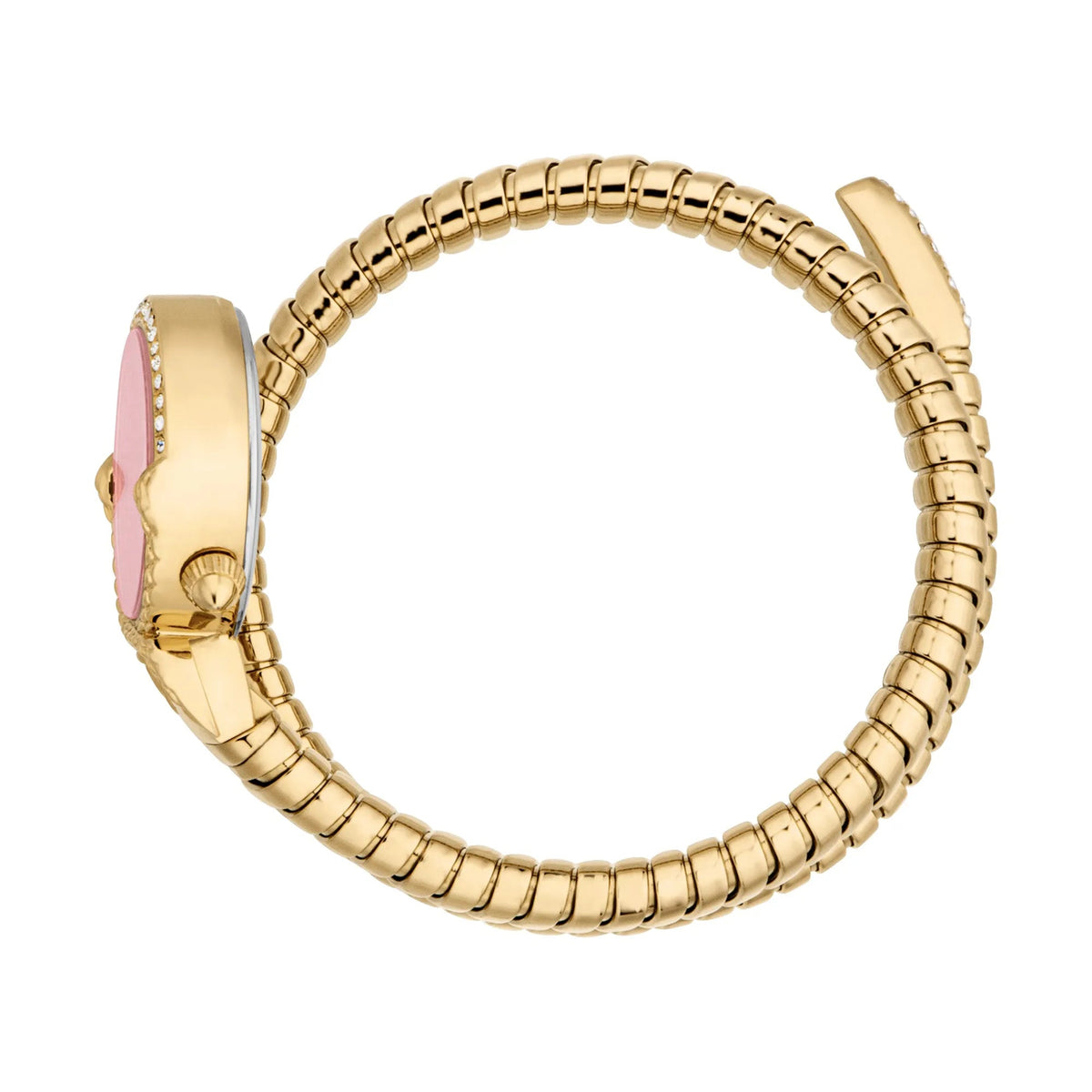Just Cavalli Radiosa Yellow Gold Red -korean beauty