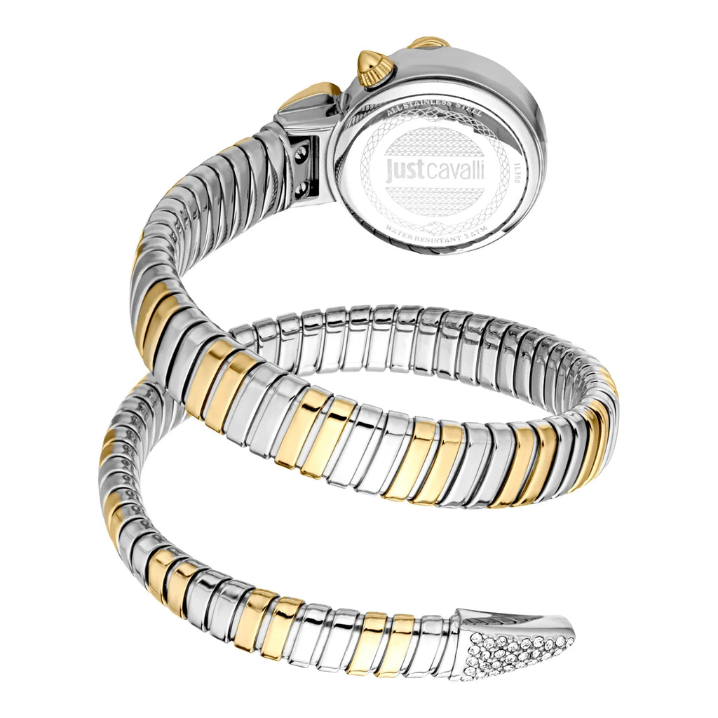 Just Cavalli Radiosa Two Tones YG Silver Green -korean beauty
