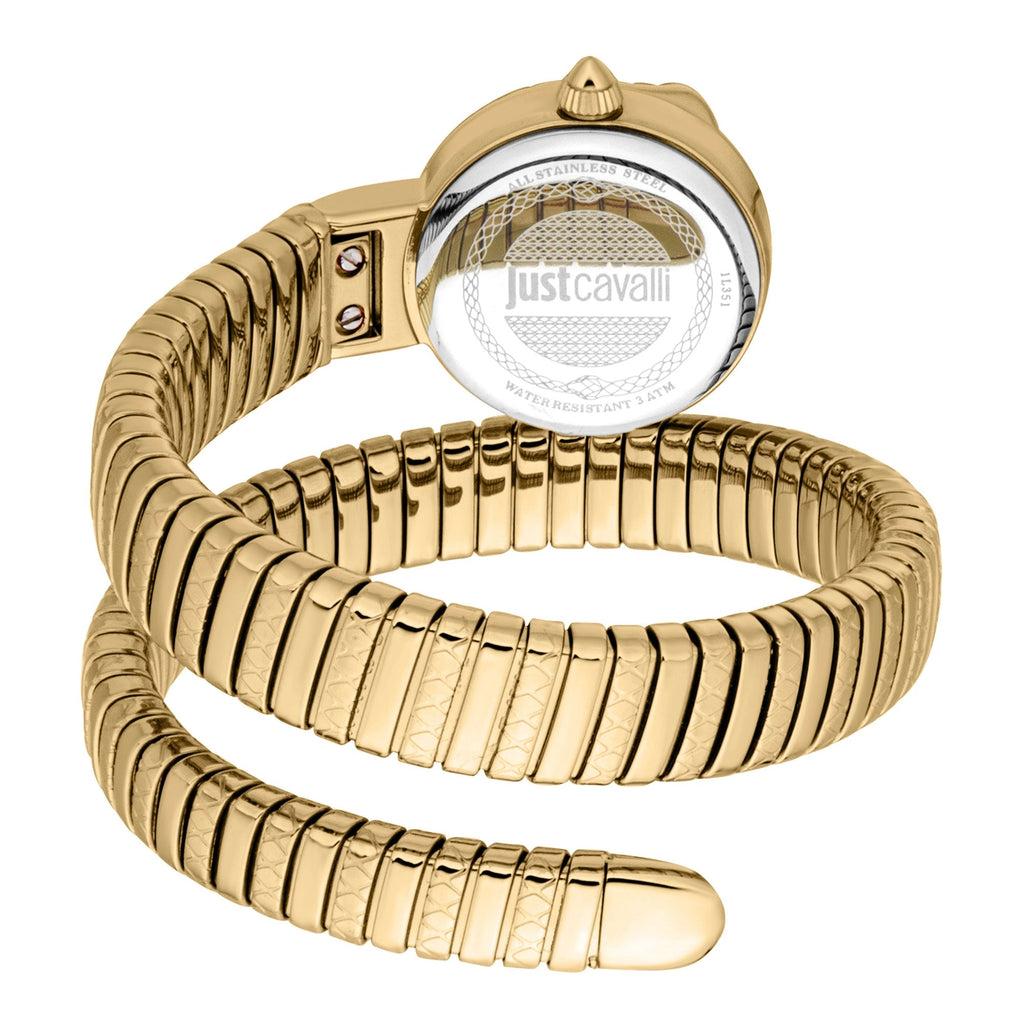 Just Cavalli Sirena Yellow Gold Silver -korean beauty