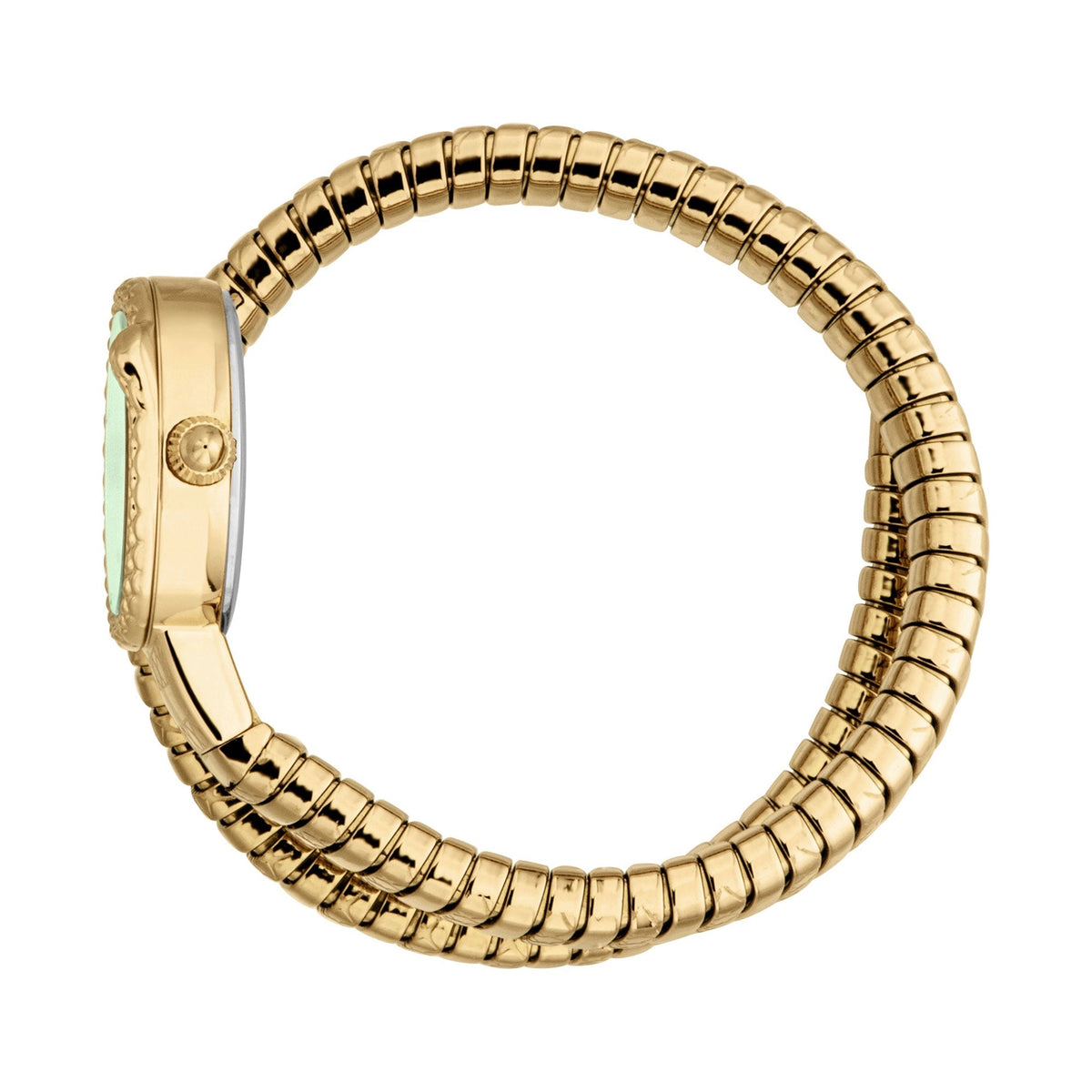 Just Cavalli Sirena Yellow Gold Green -korean beauty