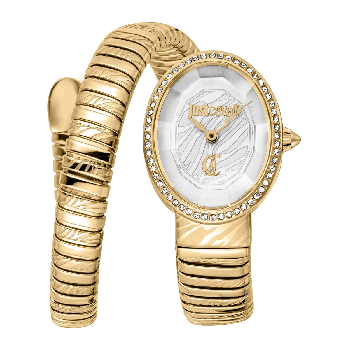 Just Cavalli Velina Yellow Gold Silver -korean beauty