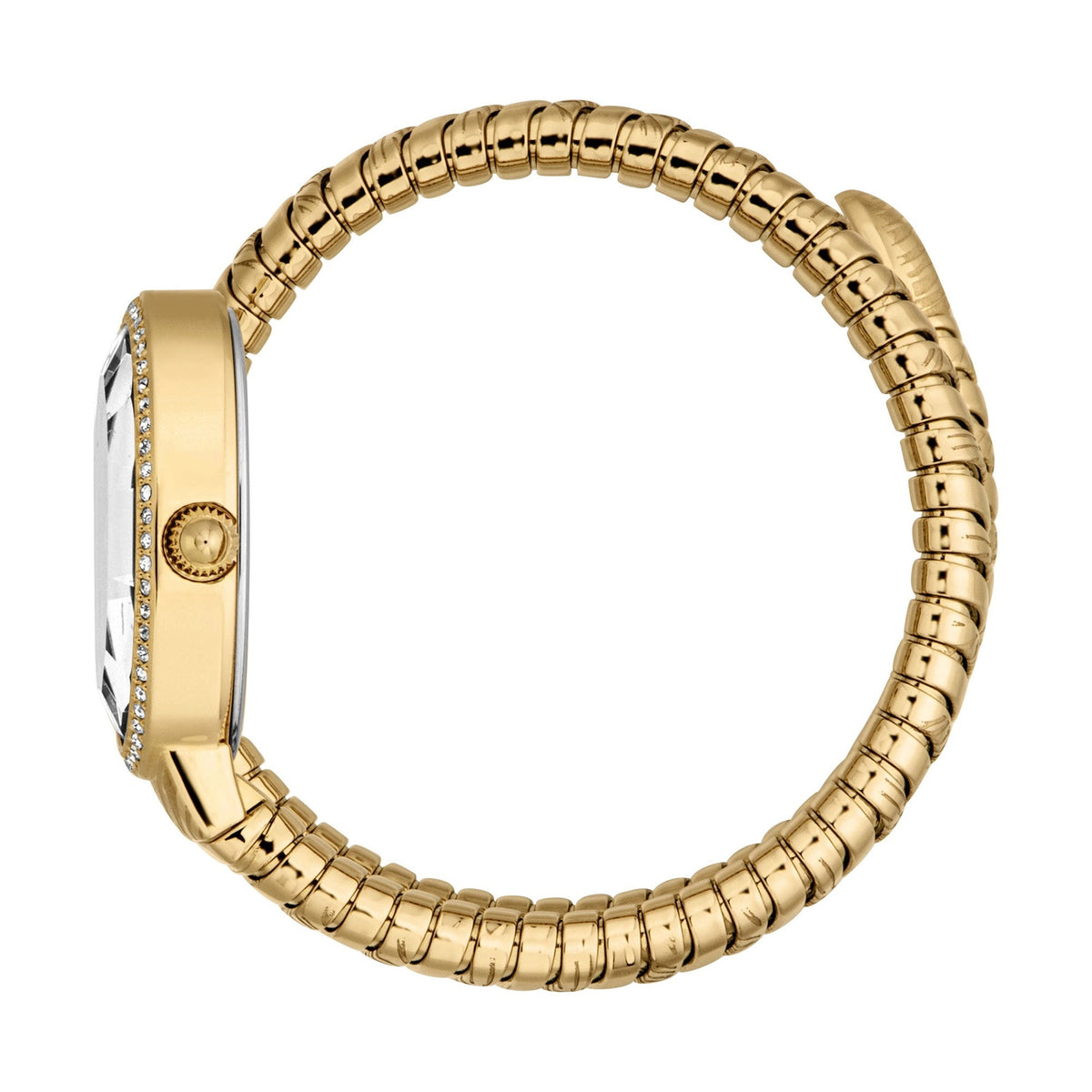 Just Cavalli Velina Yellow Gold Silver -korean beauty