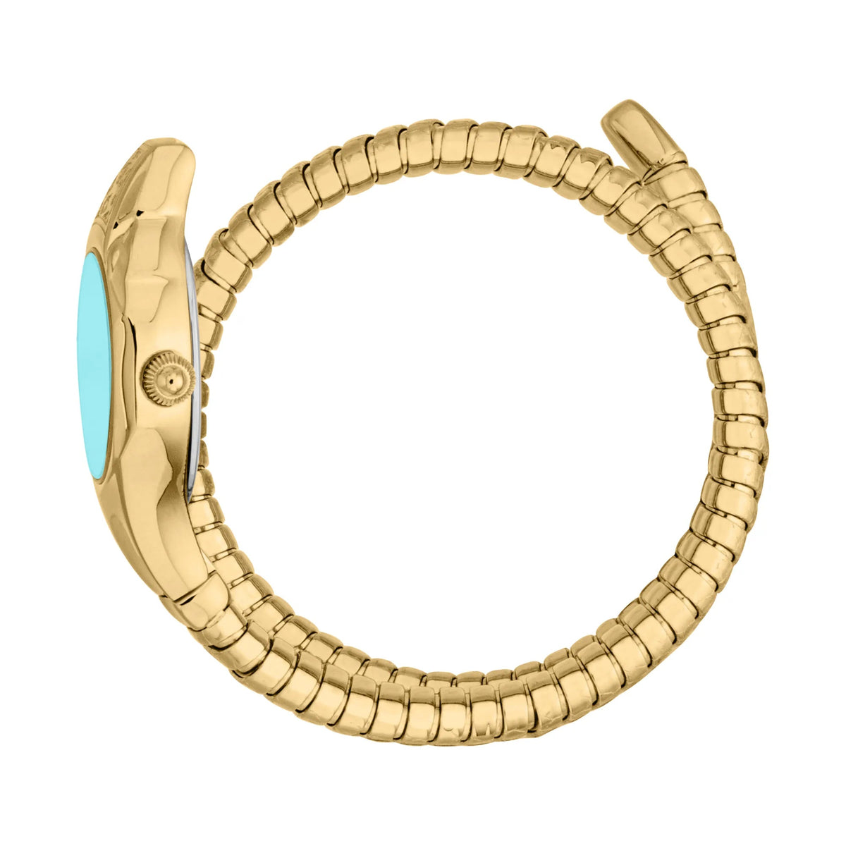 Just Cavalli Fiore Yellow Gold Turquoise -korean beauty