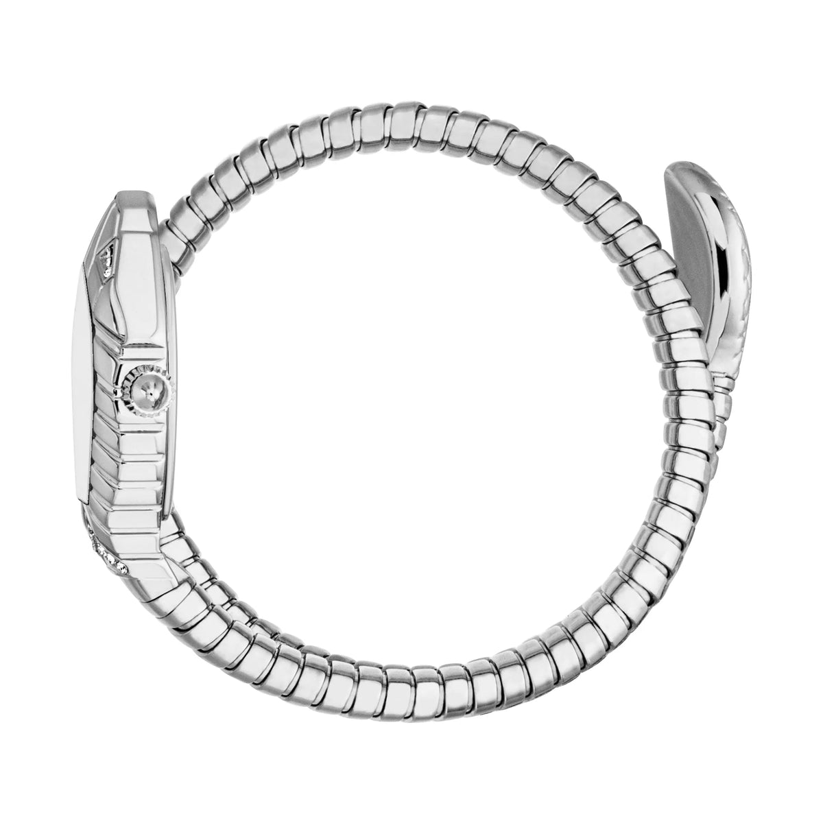Just Cavalli Speranza Silver -korean beauty
