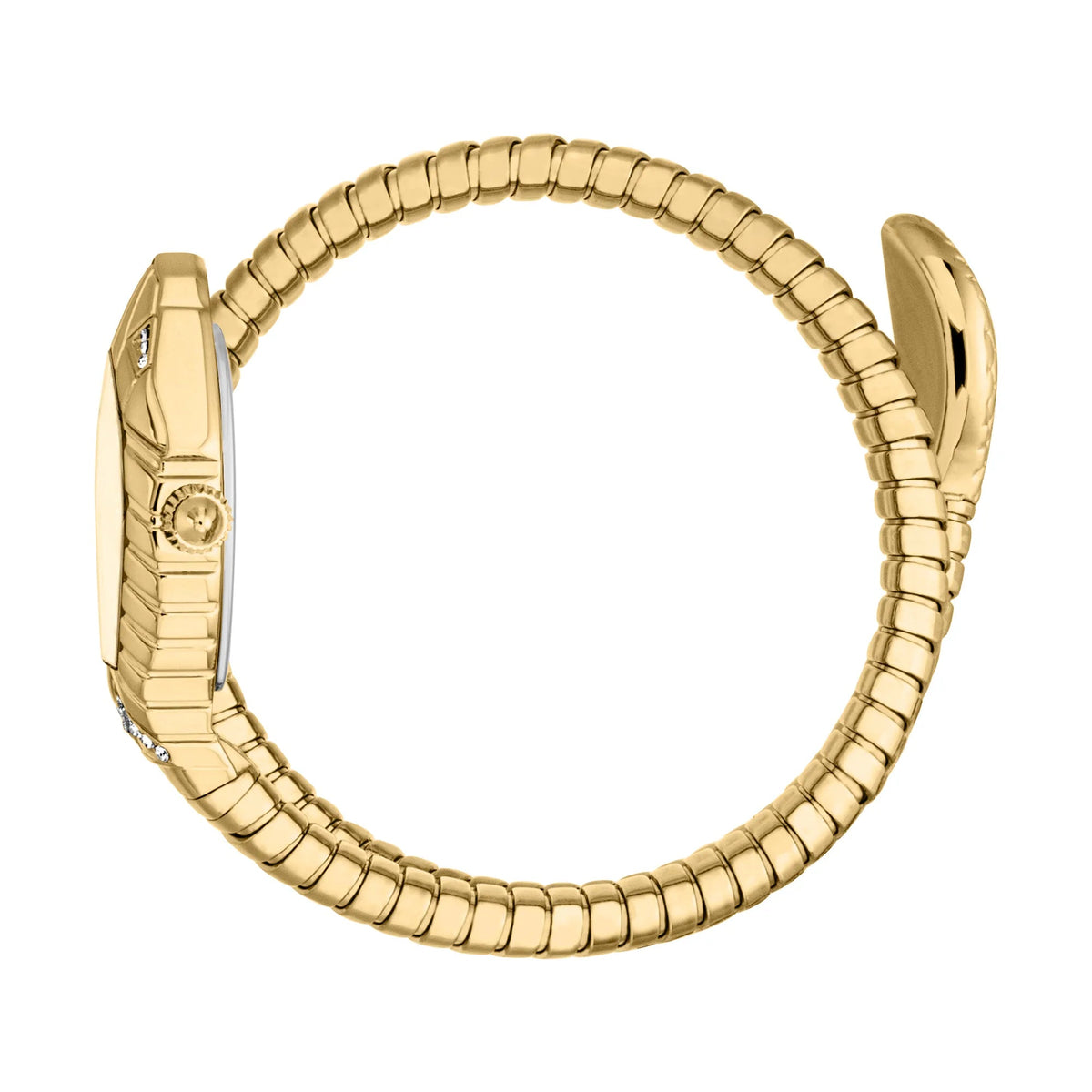 Just Cavalli Speranza Yellow Gold Champagne -korean beauty