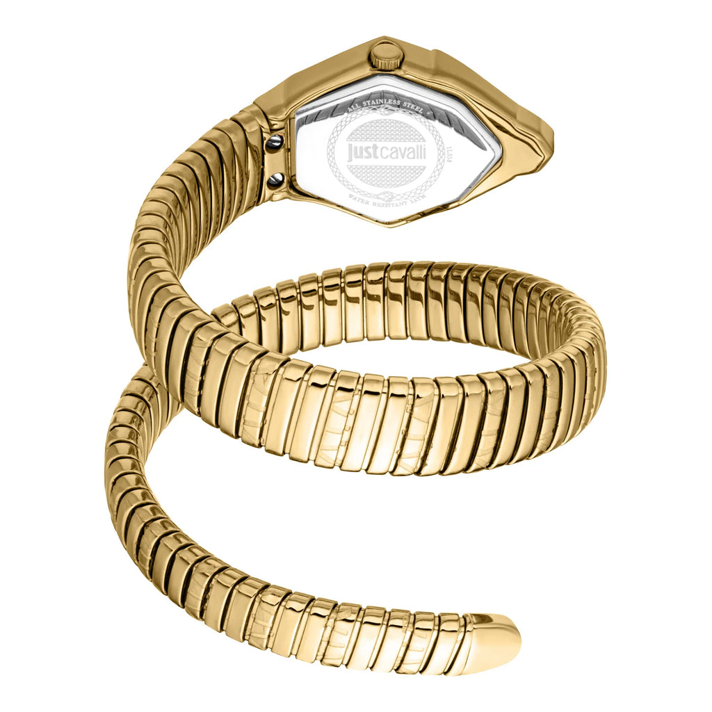 Just Cavalli Gemma Yellow Gold Silver -korean beauty