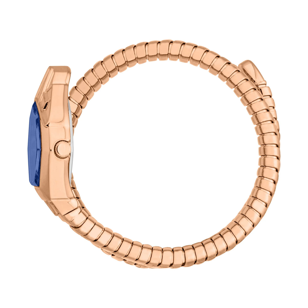 Just Cavalli Gemma Rose Gold Blue -korean beauty