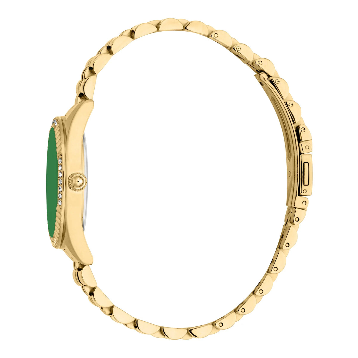 Just Cavalli Vittoria Glam Yellow Gold Green -korean beauty