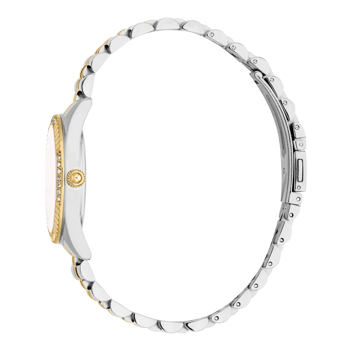 Just Cavalli Vittoria Glam Two Tones YG Silver -korean beauty
