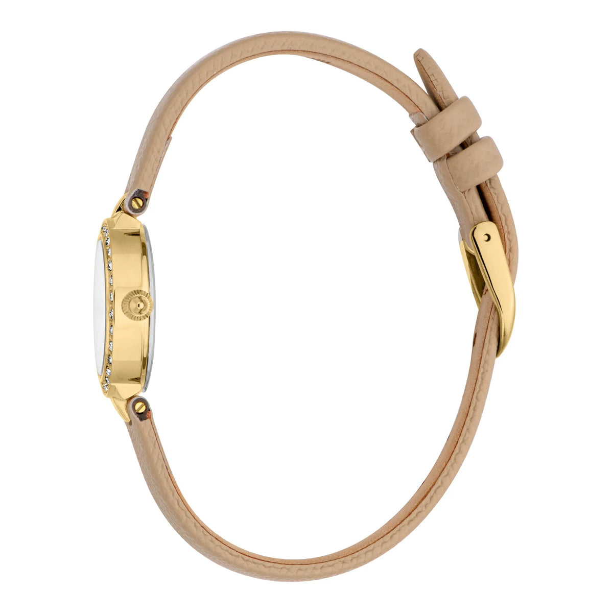 Just Cavalli Serenita Mini Leather Beige YG Silver -korean beauty