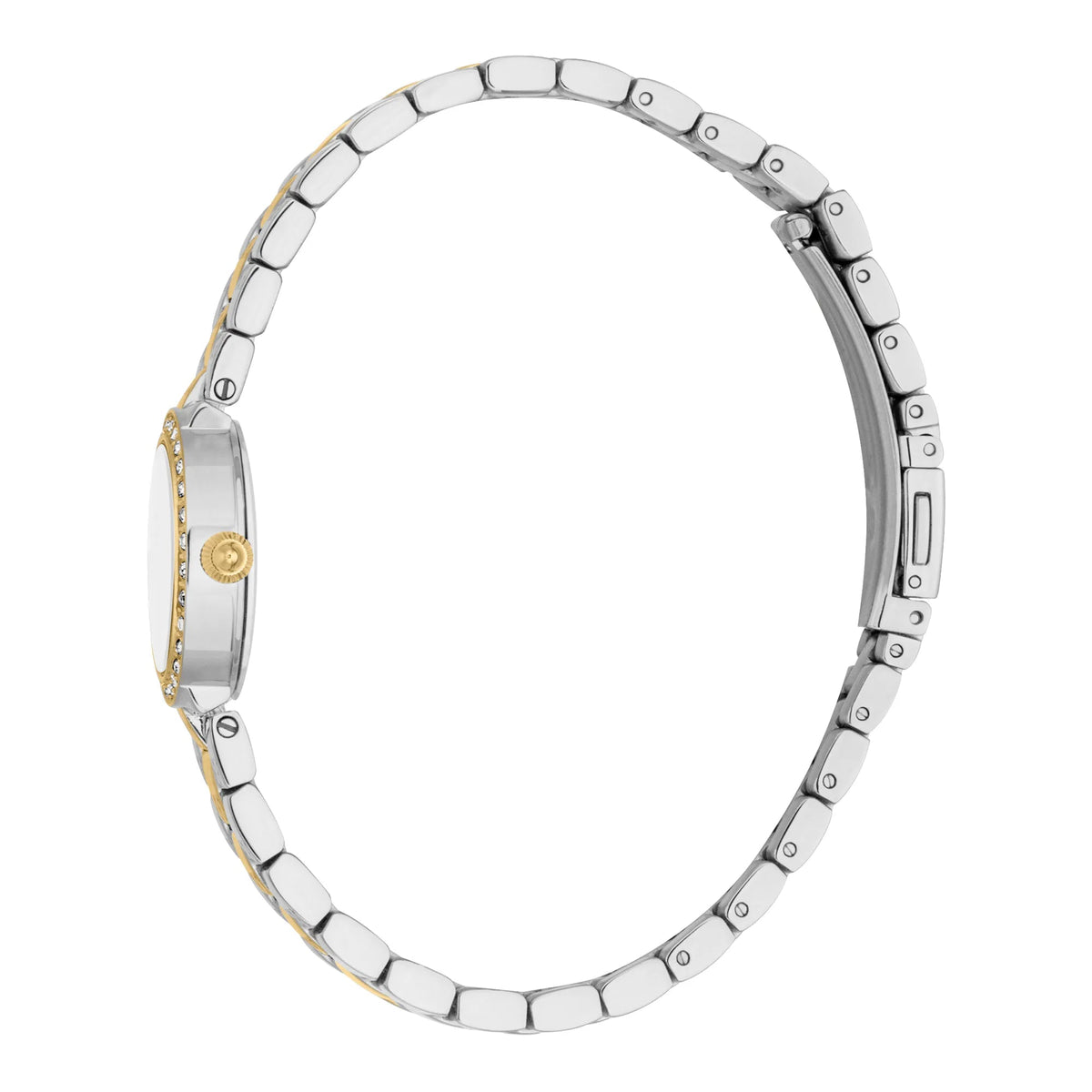 Just Cavalli Serenita Mini Two Tones YG Silver -korean beauty