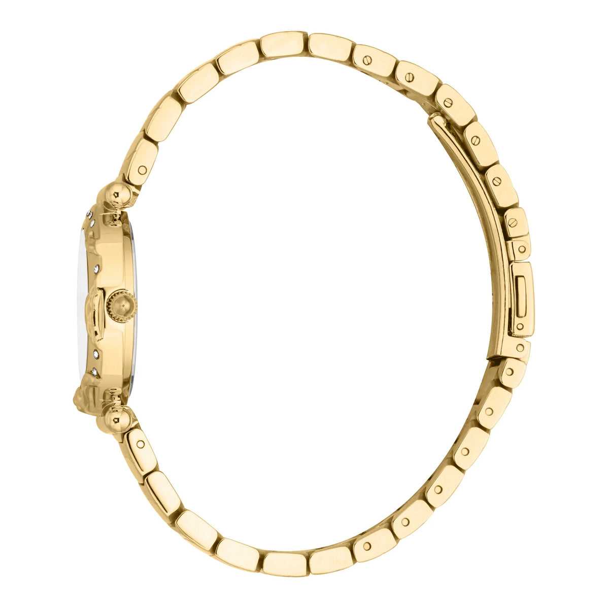 Just Cavalli Stella Snake Yellow Gold Silver -korean beauty