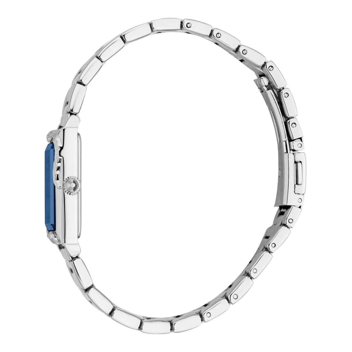 Just Cavalli Dolcezza Snake Silver Blue -korean beauty