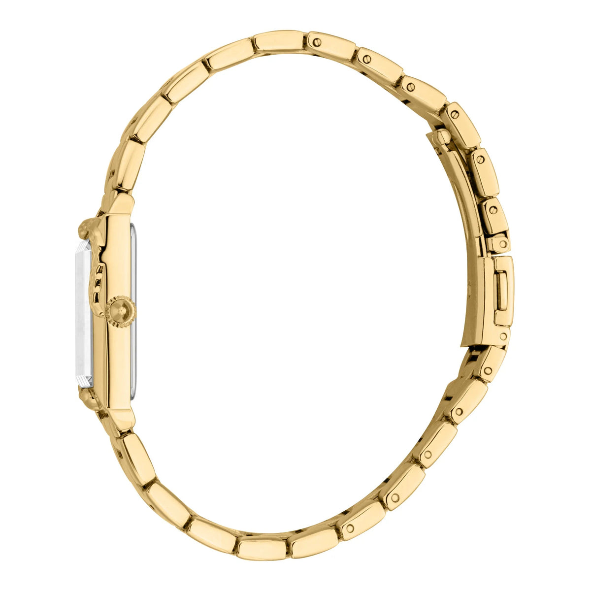 Just Cavalli Dolcezza Snake Yellow Gold Silver -korean beauty