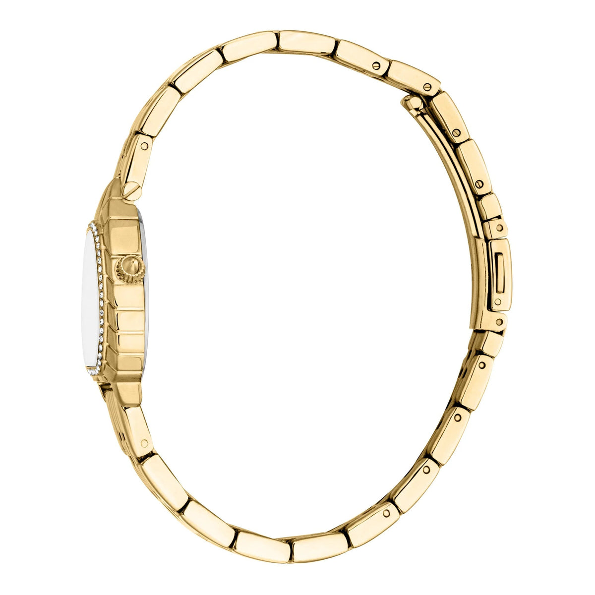 Just Cavalli Perla Yellow Gold Silver -korean beauty