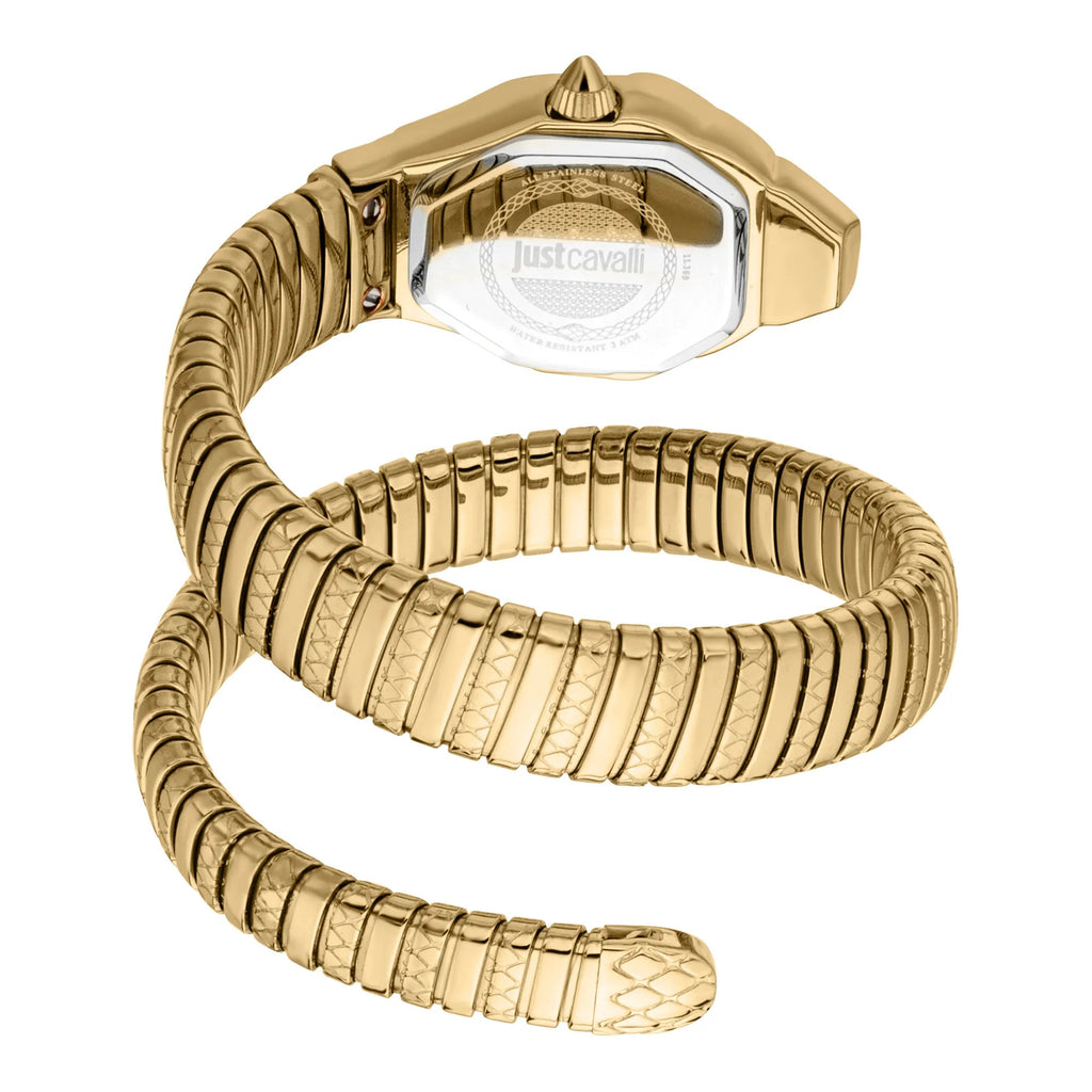 Just Cavalli Aria Yellow Gold Silver -korean beauty
