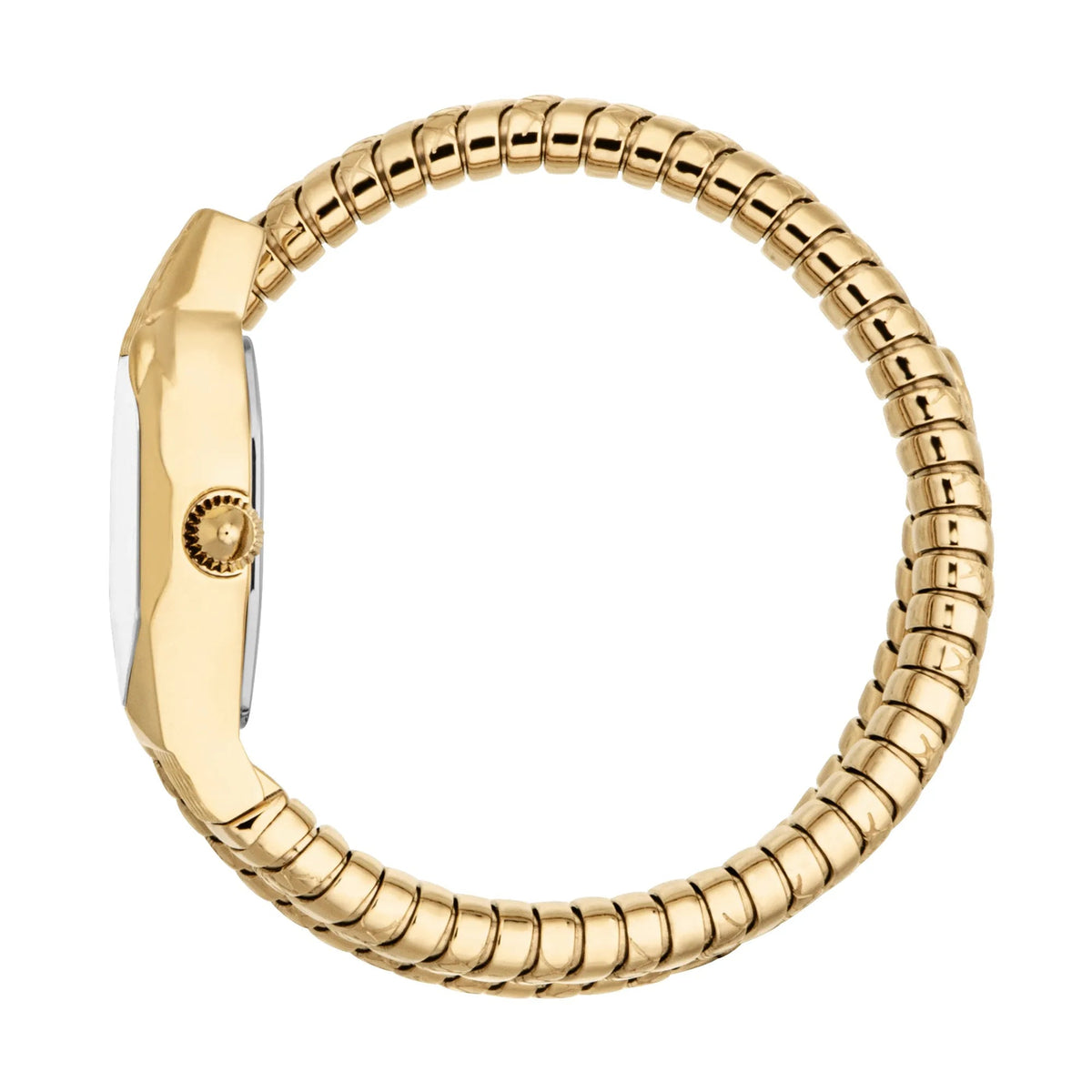 Just Cavalli Aria Yellow Gold Silver -korean beauty