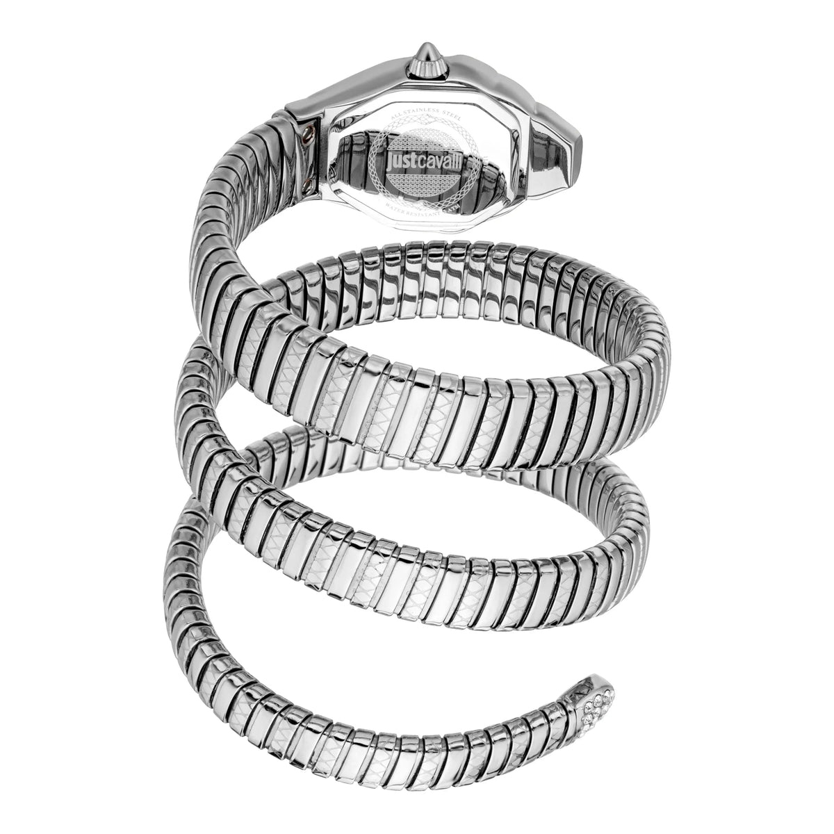 Just Cavalli Ambra Silver -korean beauty