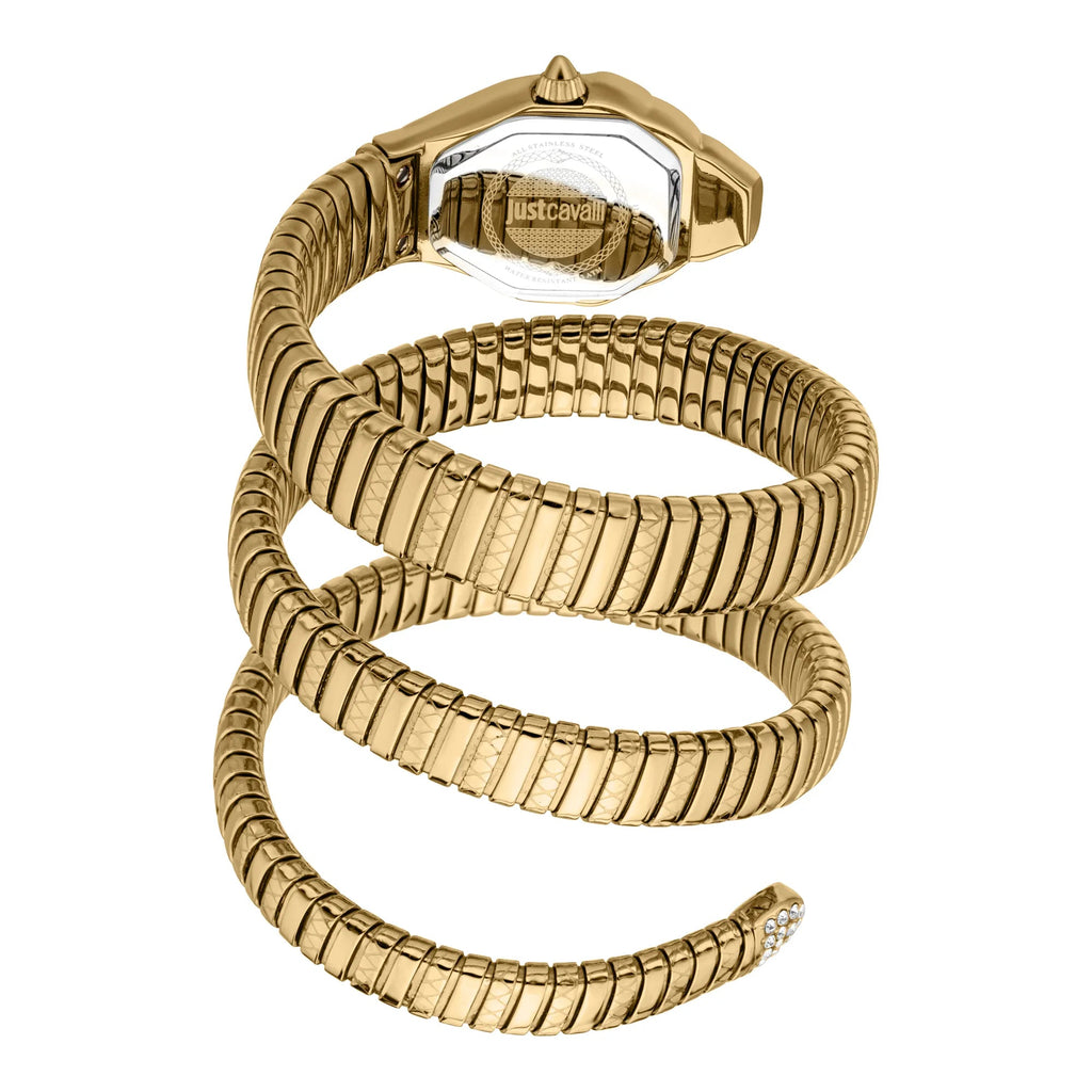 Just Cavalli Ambra Yellow Gold Green -korean beauty