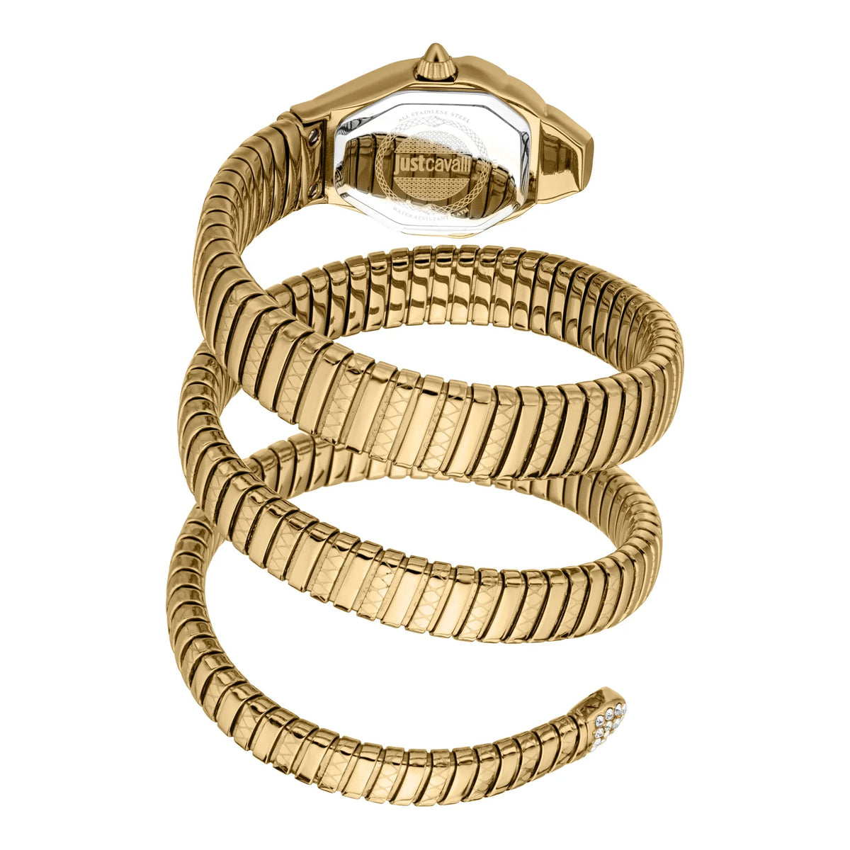 Just Cavalli Ambra Yellow Gold Green -korean beauty