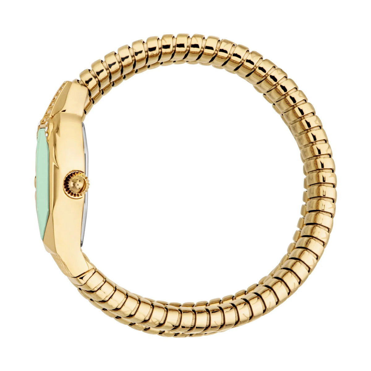 Just Cavalli Ambra Yellow Gold Green -korean beauty