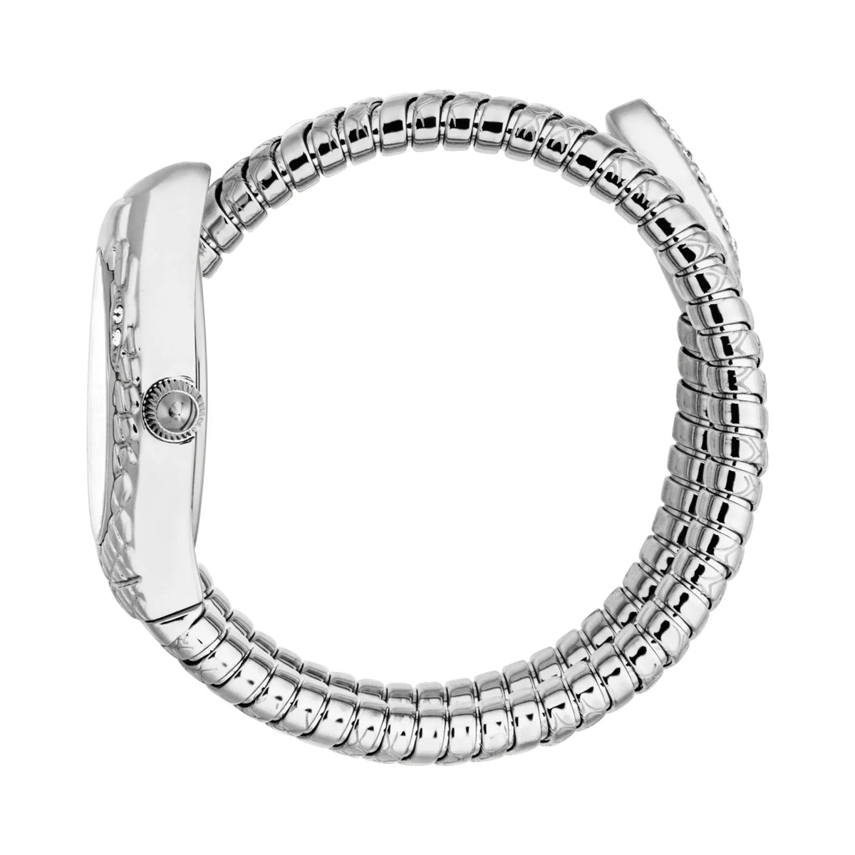 Just Cavalli Vetra Silver Grey -korean beauty