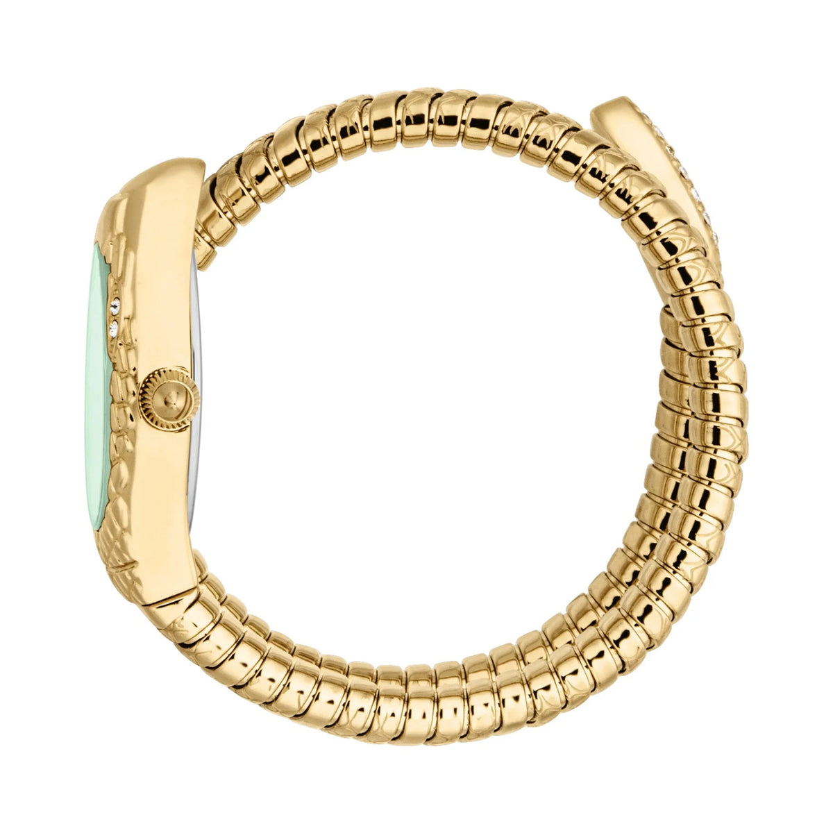 Just Cavalli Vetra Yellow Gold Green -korean beauty