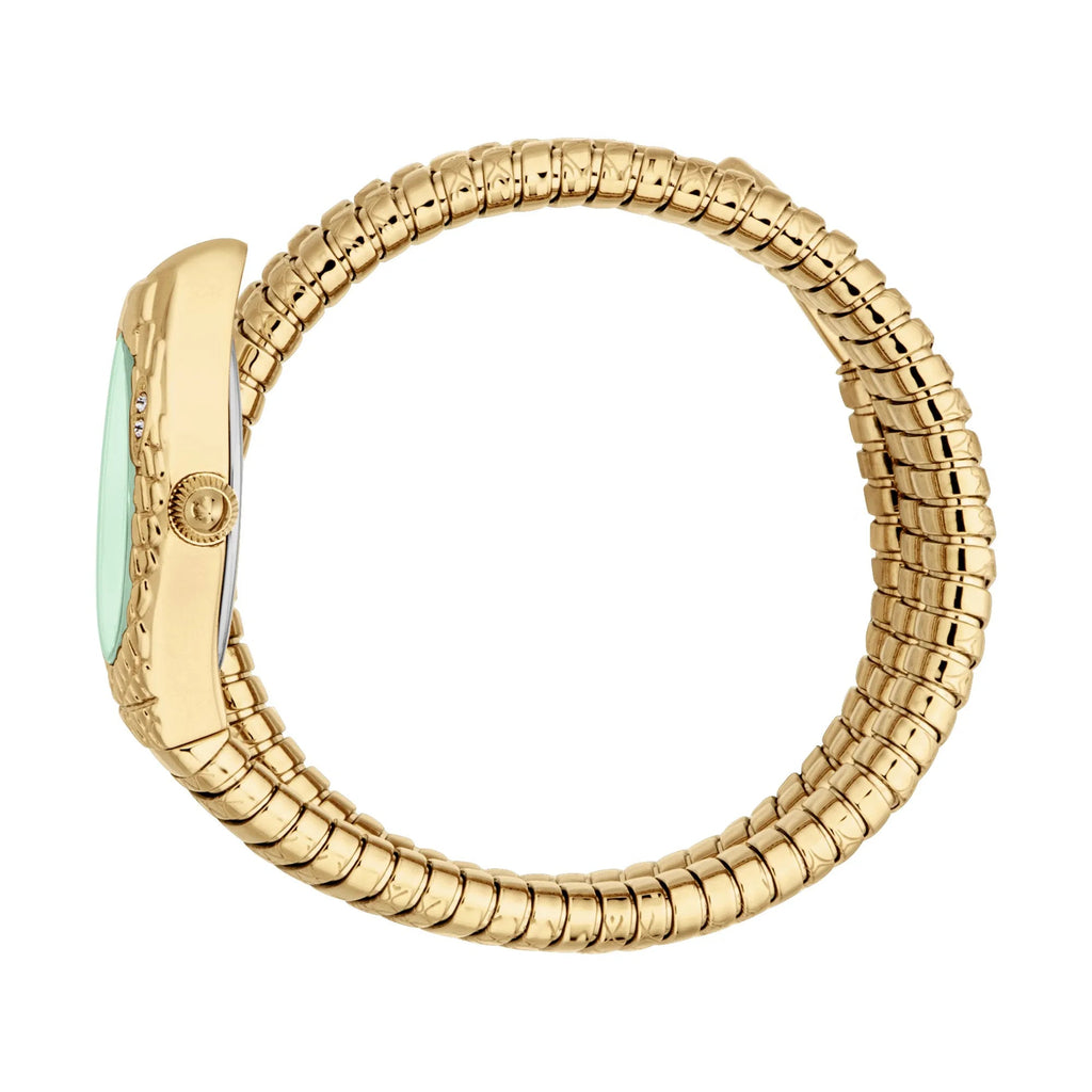 Just Cavalli Aurela Yellow Gold Green -korean beauty