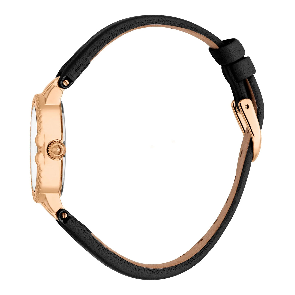 Just Cavalli Primavera Snake Leather Black -korean beauty
