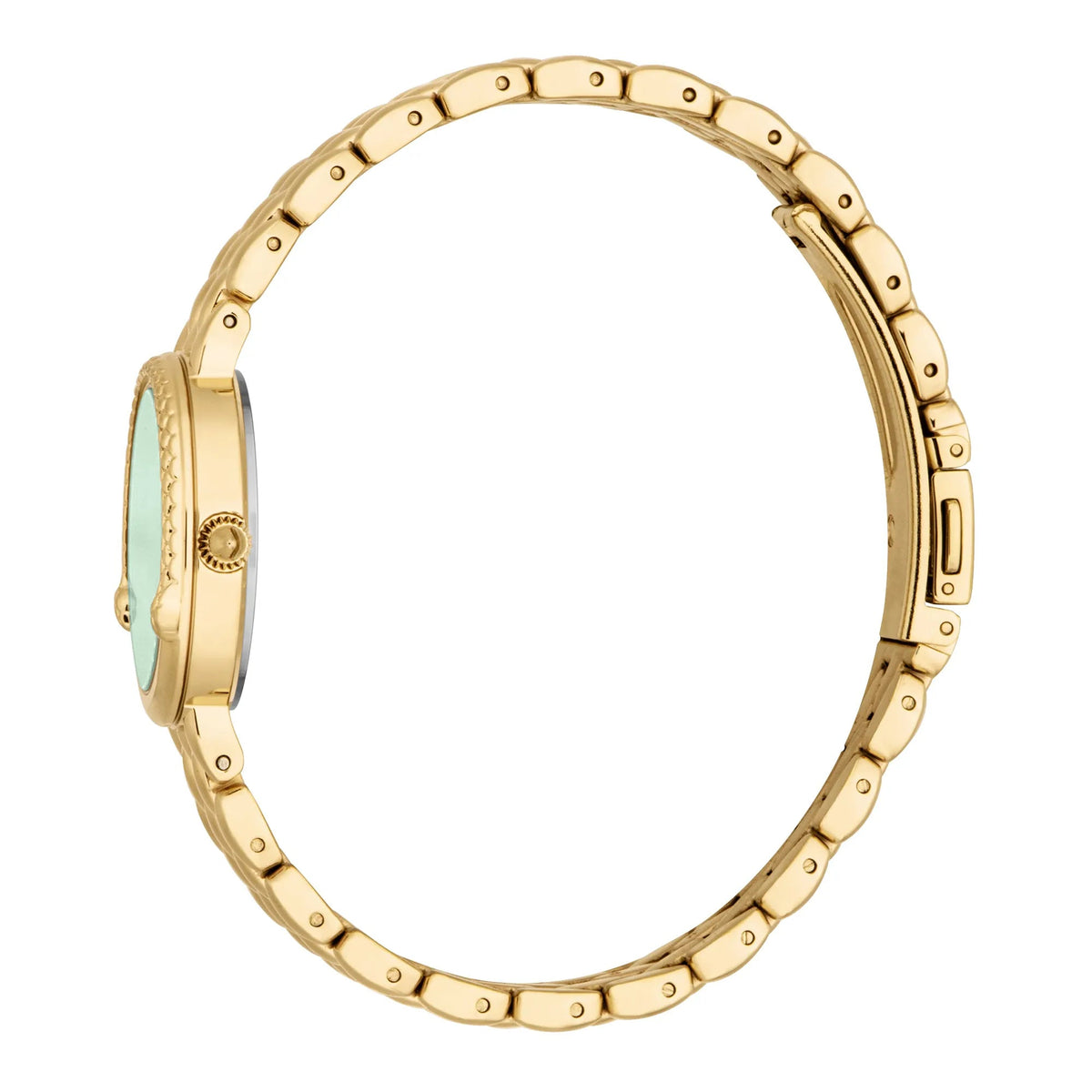 Just Cavalli Rosa Snake Yellow Gold Green -korean beauty