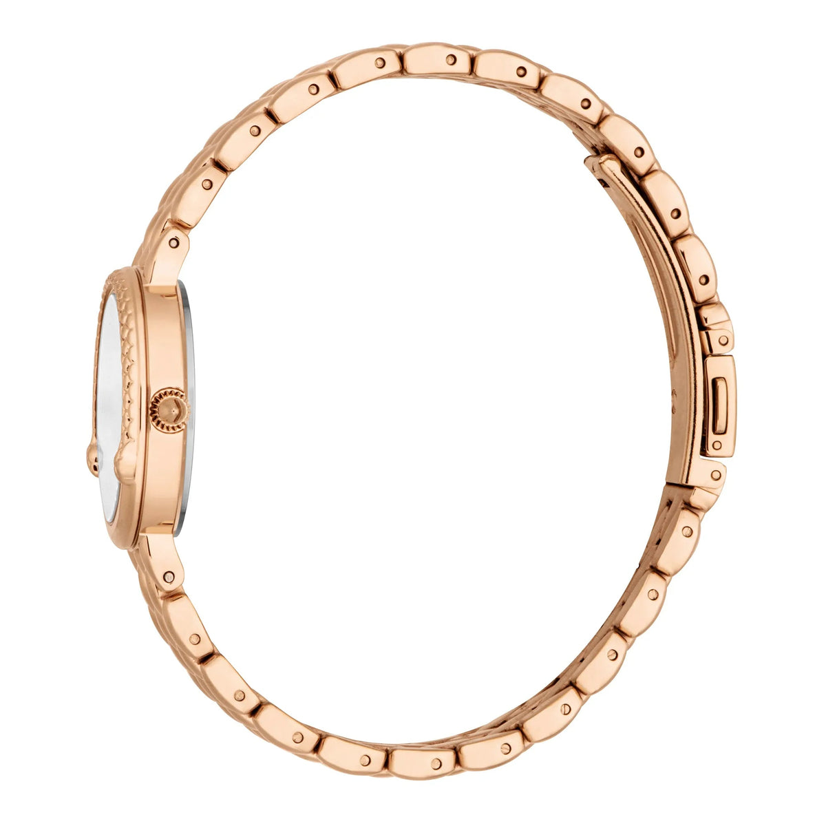 Just Cavalli Rosa Snake Rose Gold Silver -korean beauty