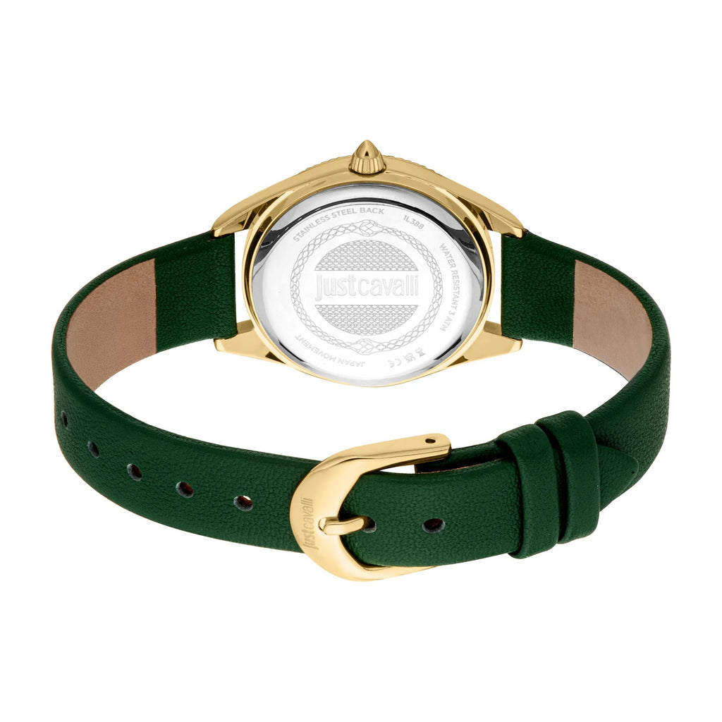 Just Cavalli Amabile Leather Green Silver -korean beauty