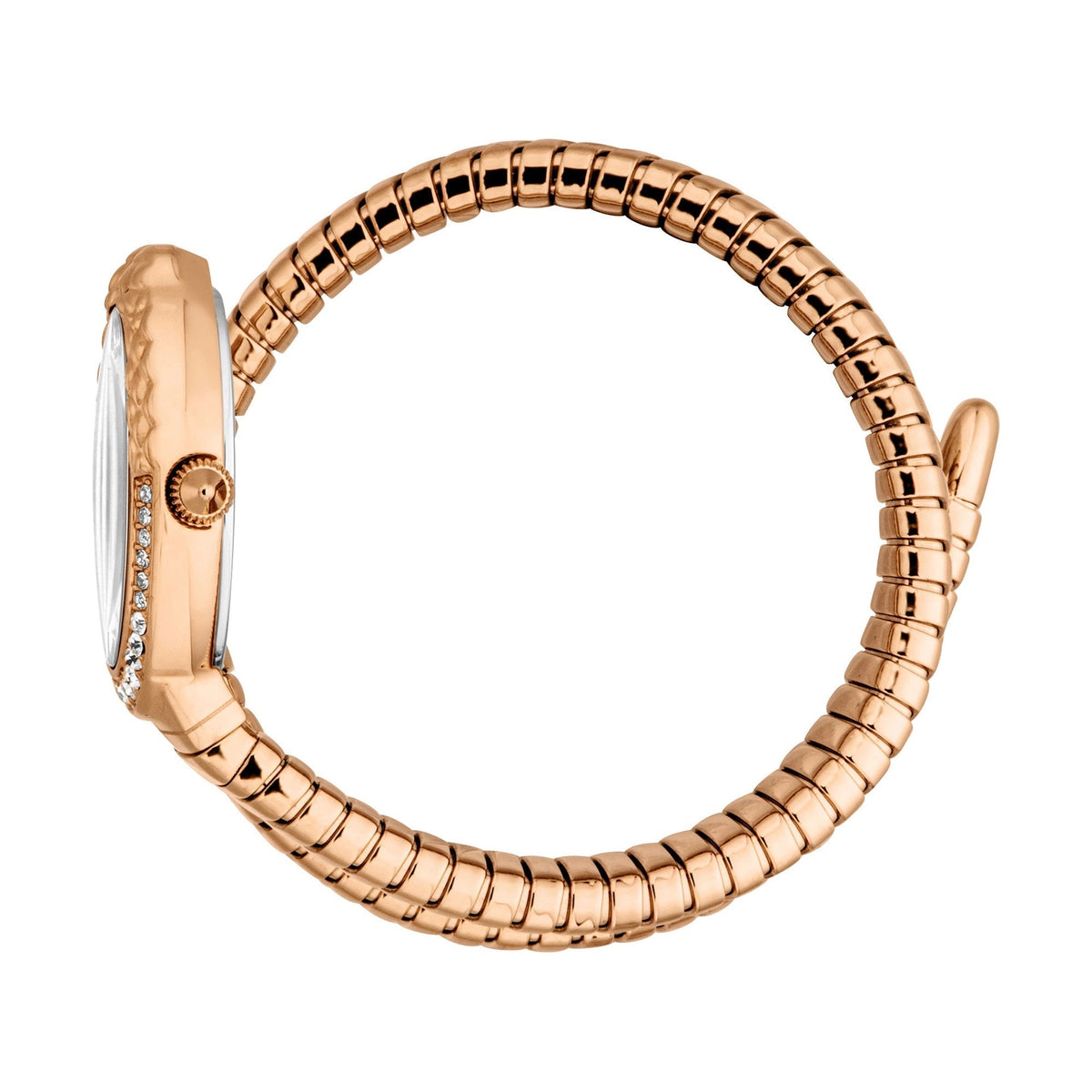 Just Cavalli Fiore Rose Gold Silver -korean beauty