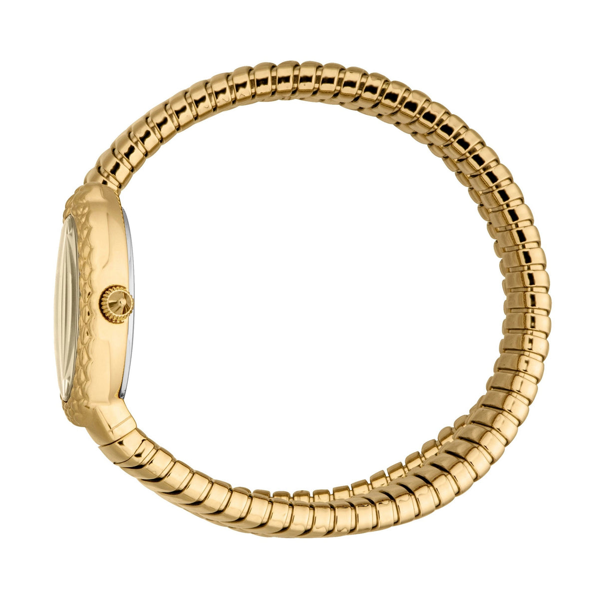 Just Cavalli Sognia Yellow Gold Champagne -korean beauty