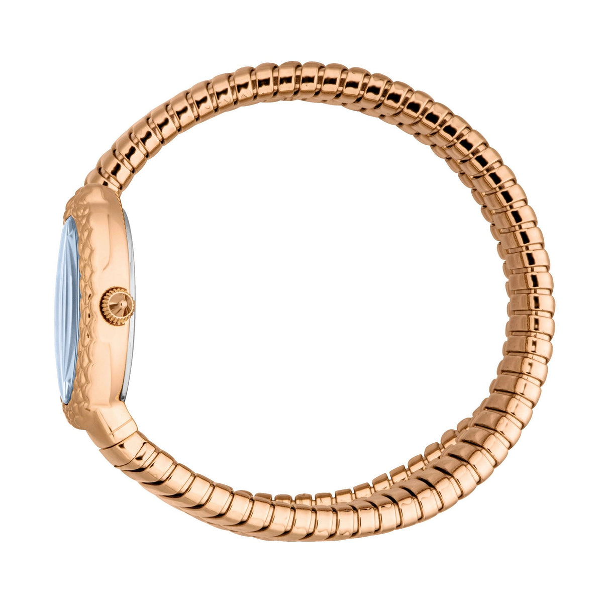 Just Cavalli Sognia Rose Gold Blue -korean beauty
